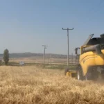 Eskisehirde 77 tonluk arpa hasadi KKtqYpqS